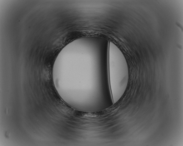 X0000092110515200709121132