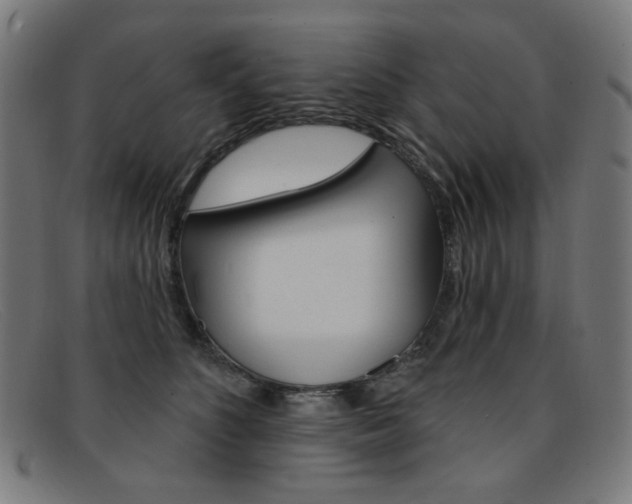X0000092110516200709121132