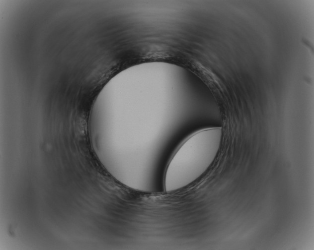 X0000092110517200709121132