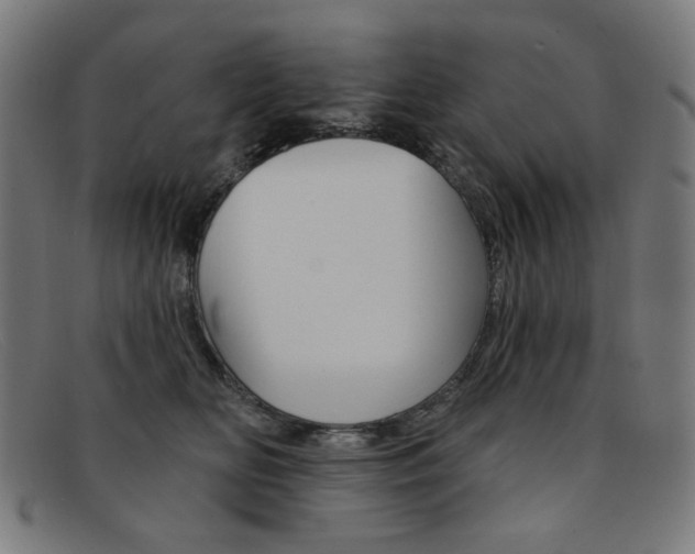 X0000092110518200709121132