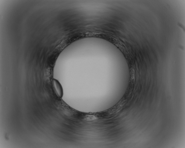 X0000092110519200709121132