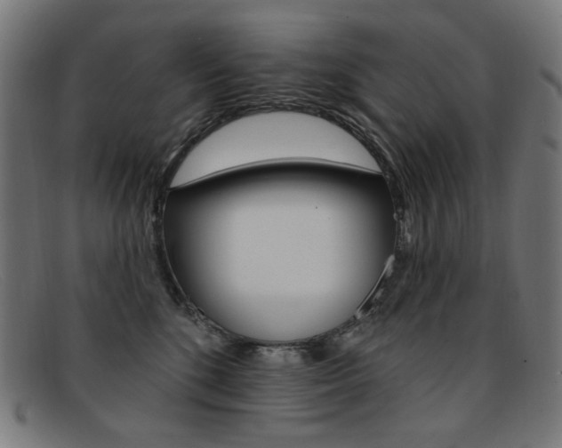 X0000092110520200709121132