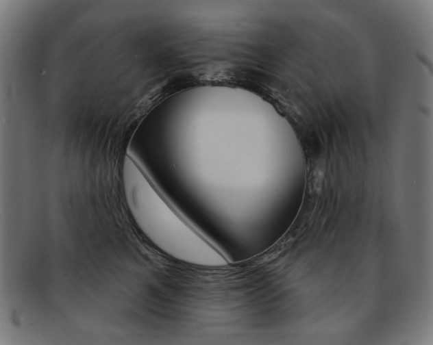 X0000092110521200709121132