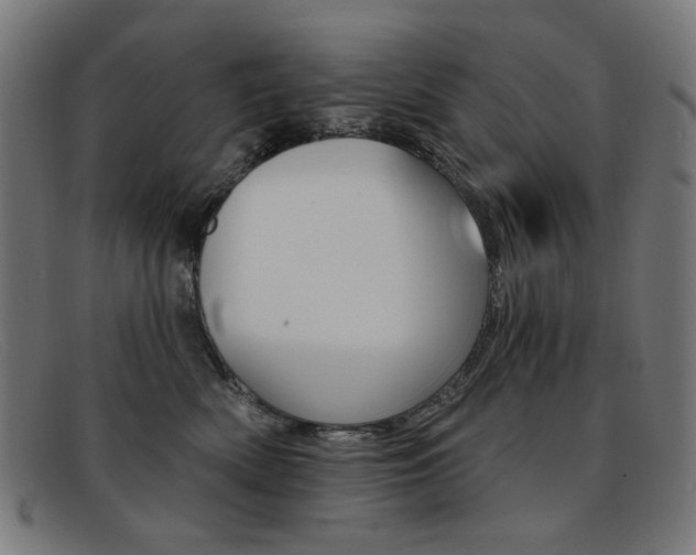 X0000092110522200709121132