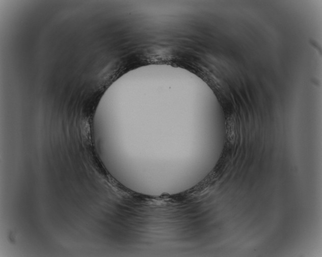 X0000092110523200709121132