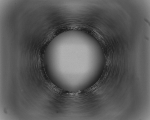 X0000092110524200709121132