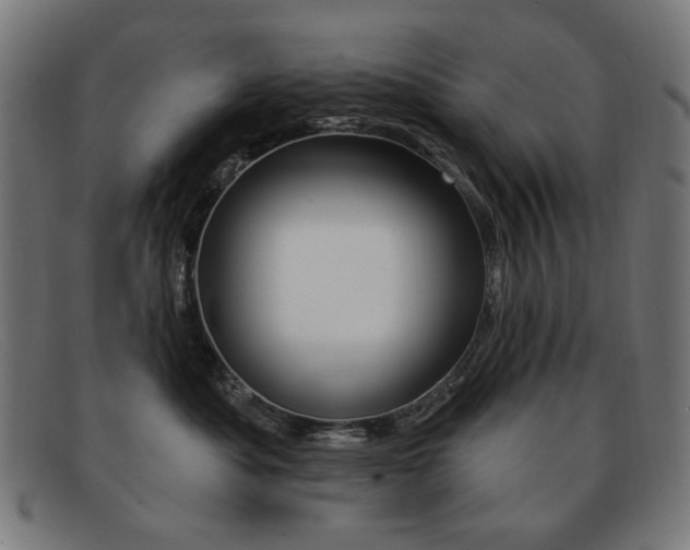 X0000092110525200709121132