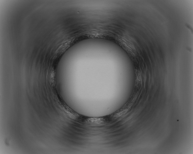X0000092110526200709121132