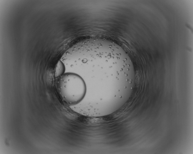X0000092110527200709121132