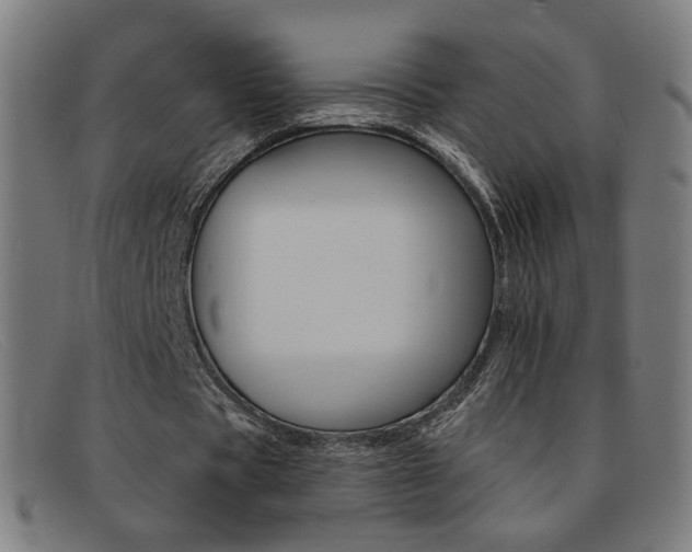 X0000092110529200709121131
