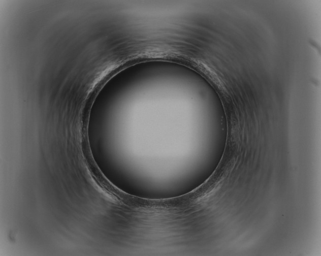 X0000092110530200709121131