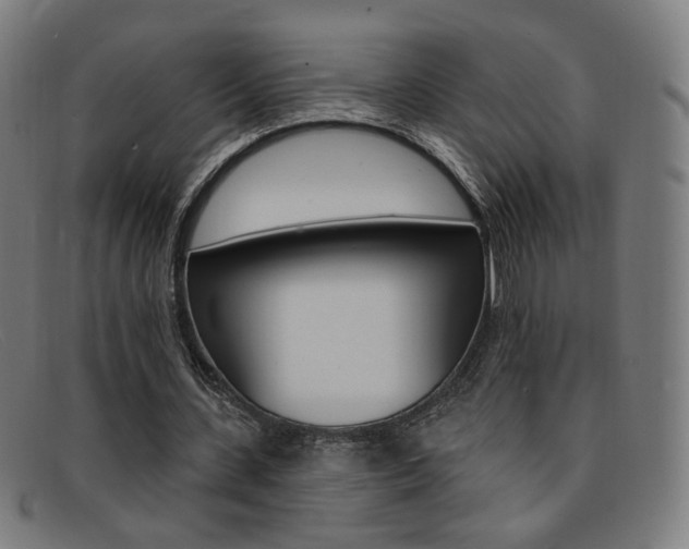 X0000092110531200709121131