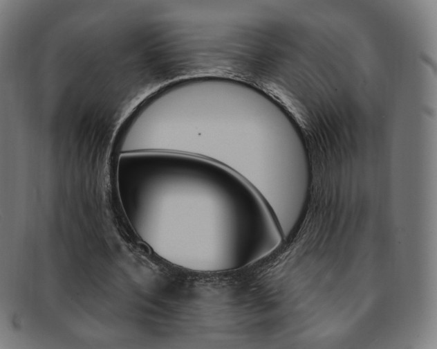 X0000092110532200709121131