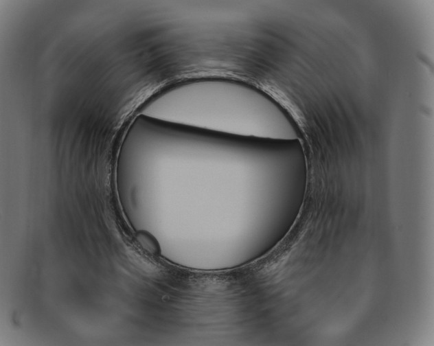 X0000092110533200709121131