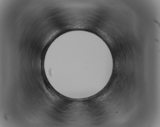X0000092110534200709121131