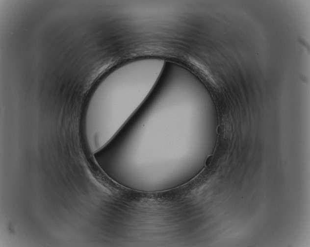 X0000092110538200709121131