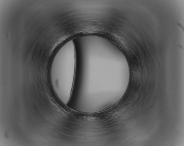 X0000092110539200709121131