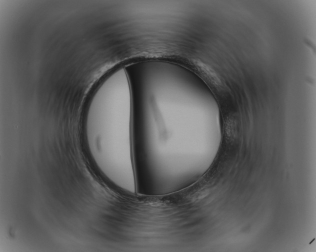 X0000092110540200709121131