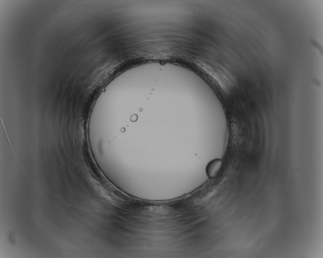 X0000092110541200709121131