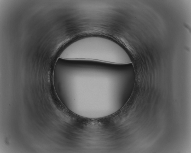 X0000092110543200709121131