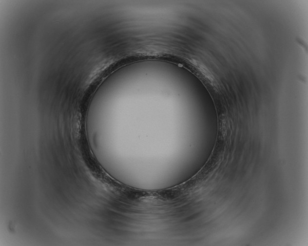 X0000092110544200709121131