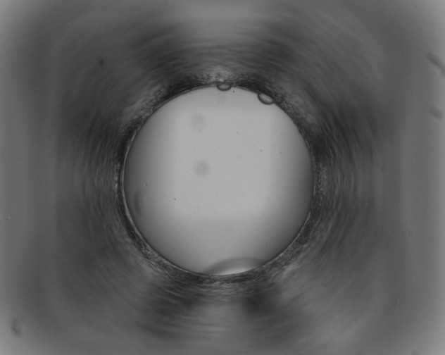 X0000092110545200709121131