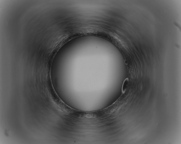 X0000092110546200709121131