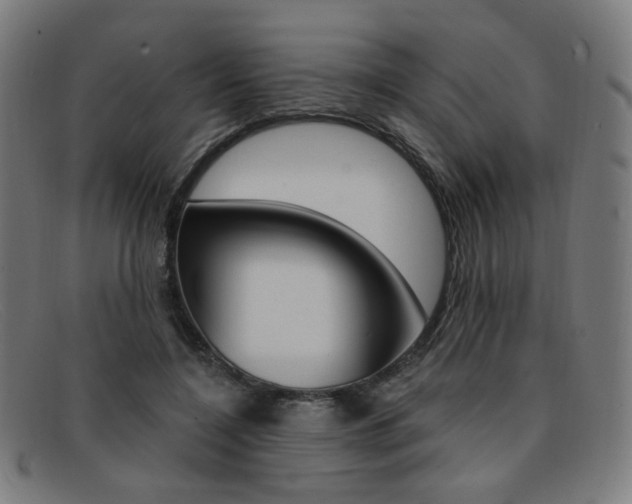 X0000092110548200709121132