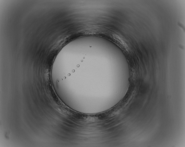X0000092110549200709121132