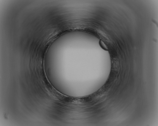 X0000092110550200709121132