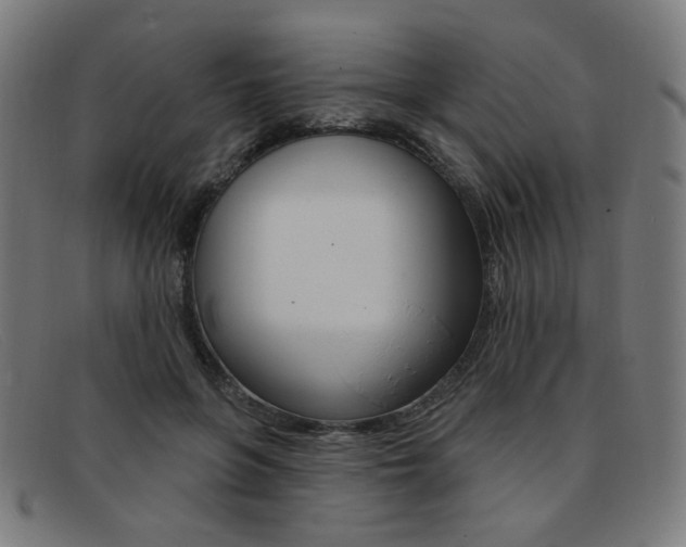 X0000092110551200709121132
