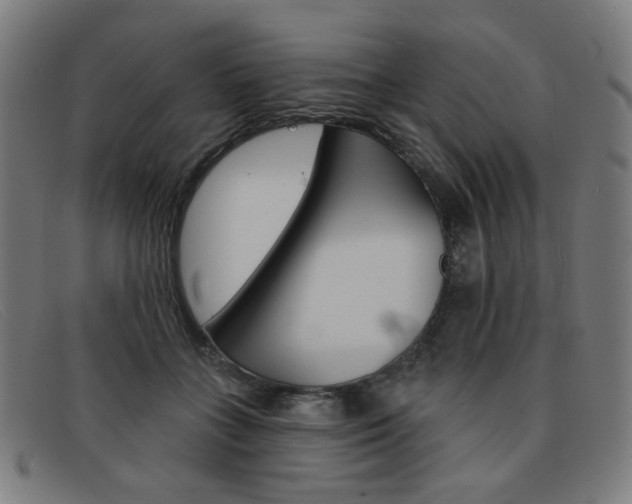 X0000092110555200709121132