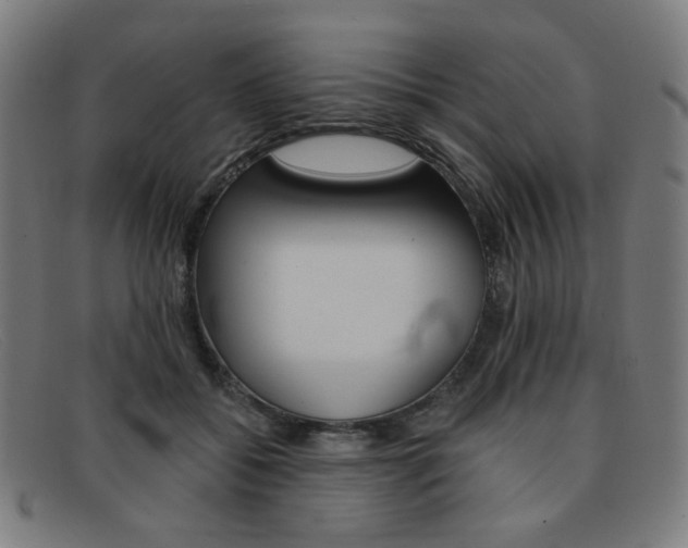 X0000092110556200709121132