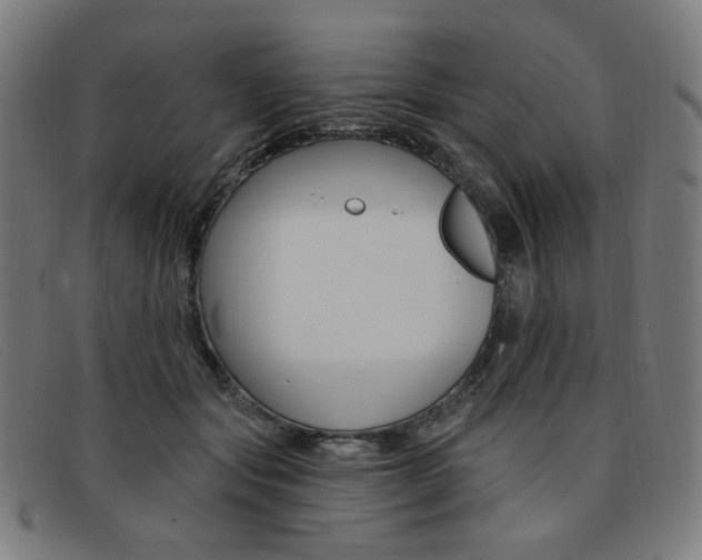 X0000092110557200709121132