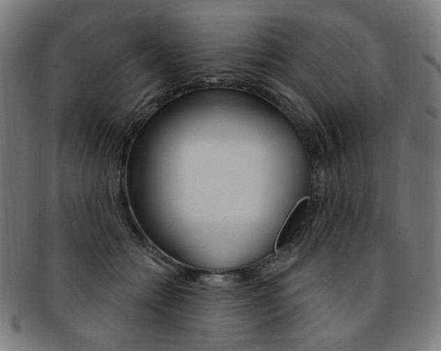 X0000092110558200709121132