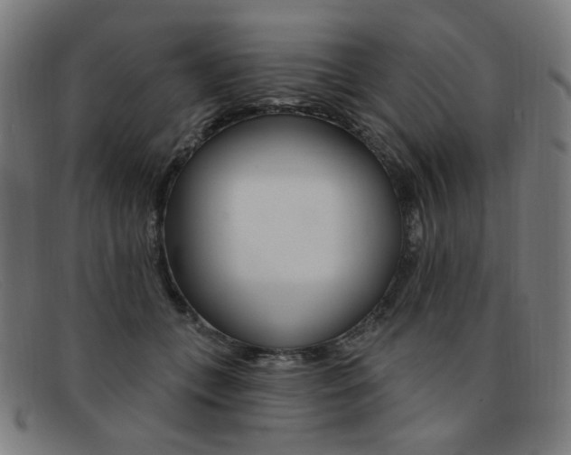 X0000092110559200709121132