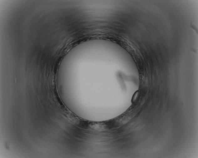 X0000092110561200709121132