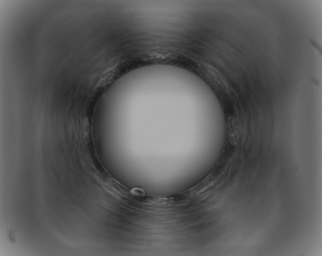 X0000092110563200709121132