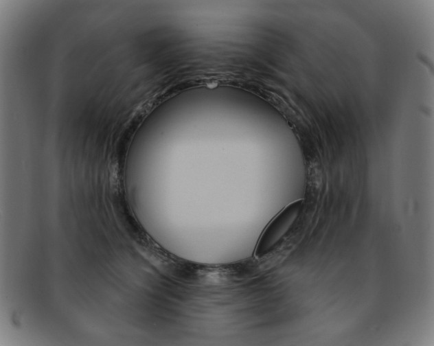 X0000092110564200709121132