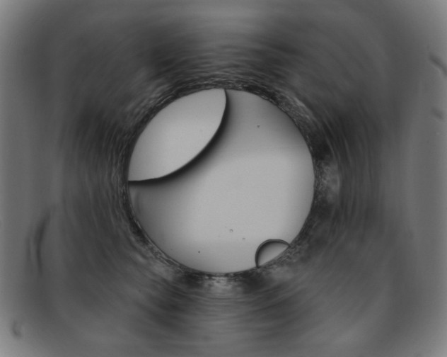 X0000092110565200709121132