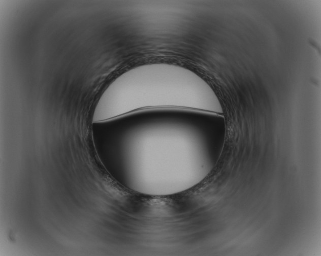 X0000092110566200709121132