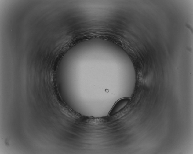 X0000092110567200709121132