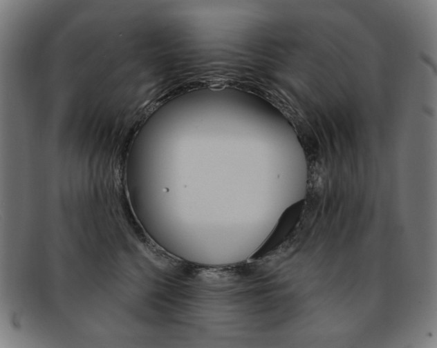 X0000092110568200709121132