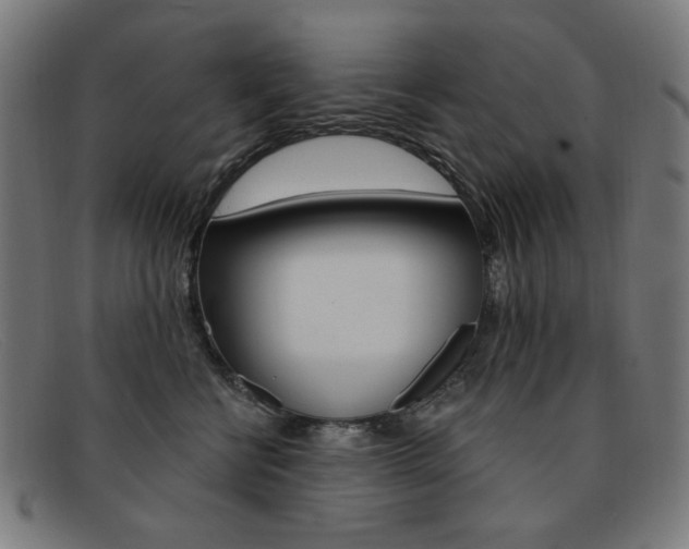 X0000092110570200709121132