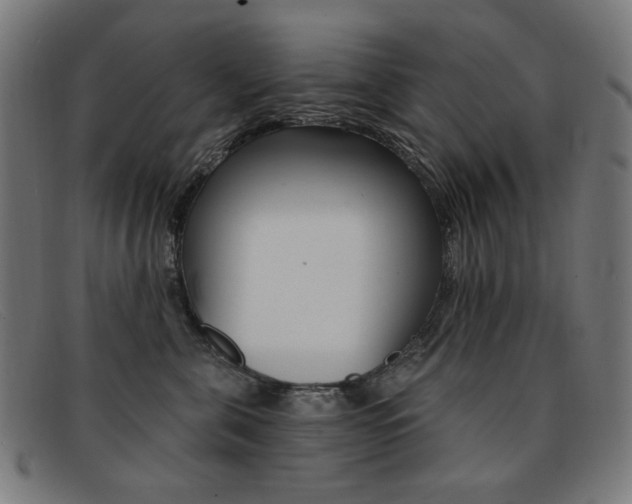 X0000092110571200709121132