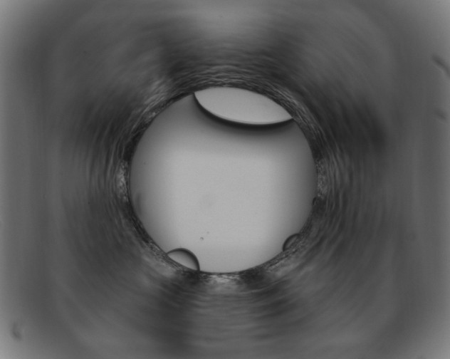 X0000092110573200709121132