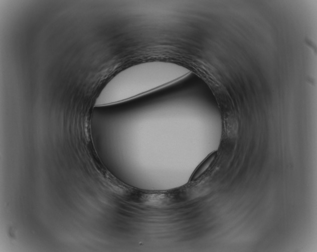 X0000092110575200709121132