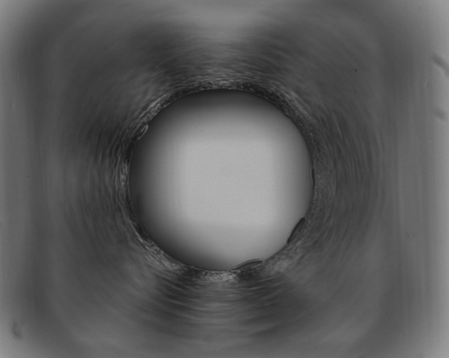X0000092110576200709121132