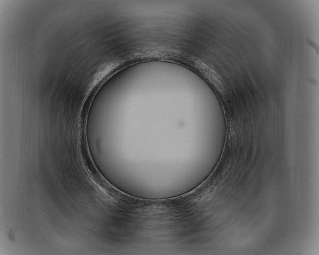 X0000092110578200709121131