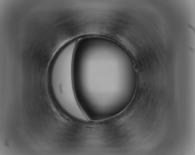 X0000092110580200709121131